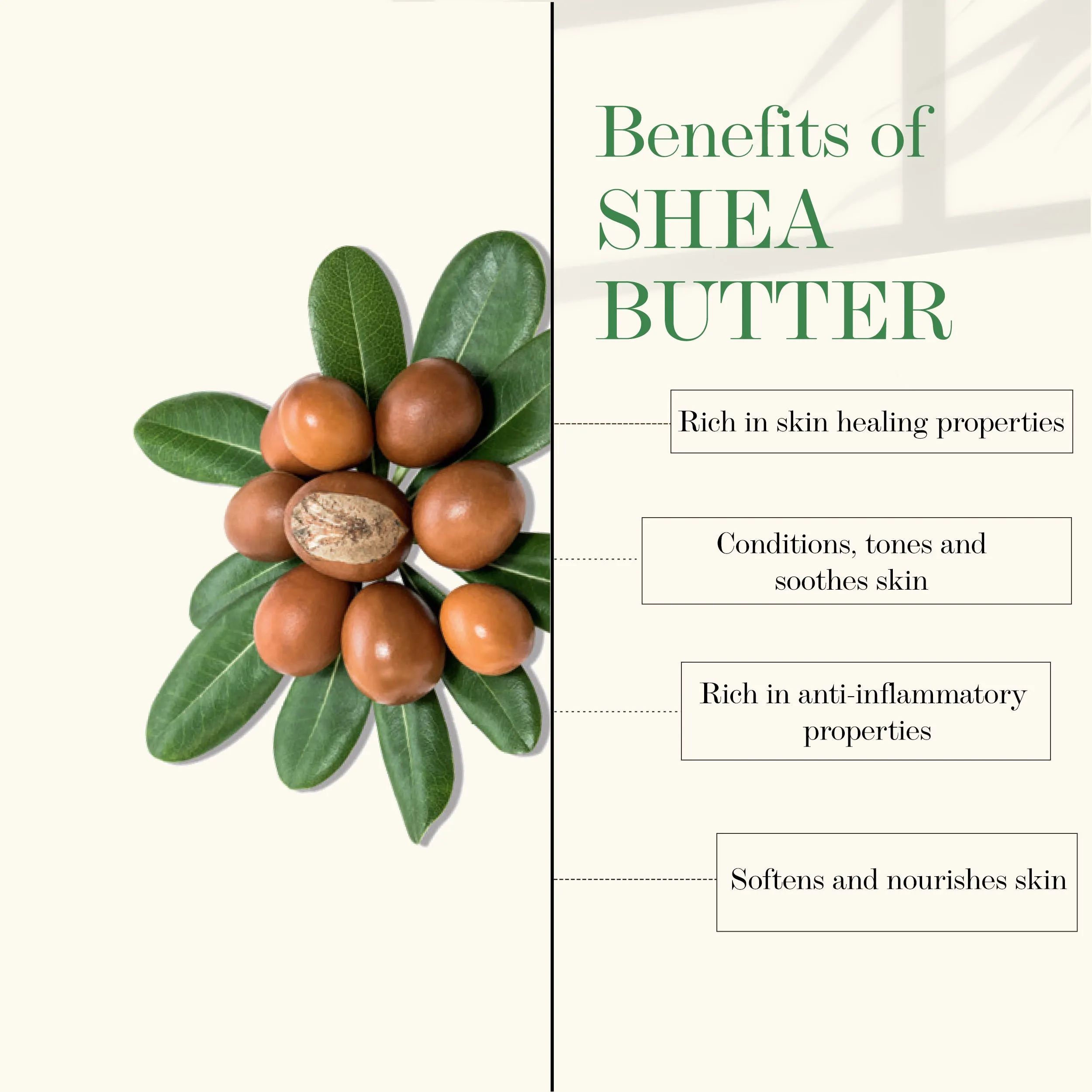 Shea Butter Moisturizing Hand Cream